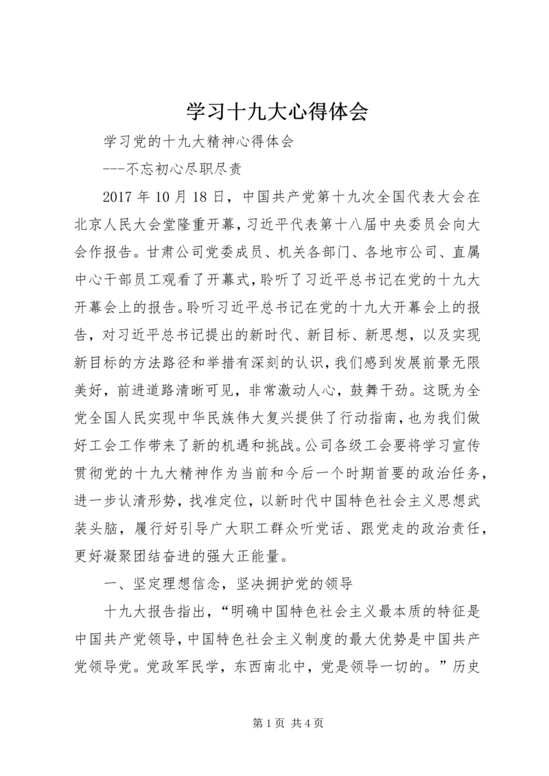 学习十九大心得体会 (43).docx