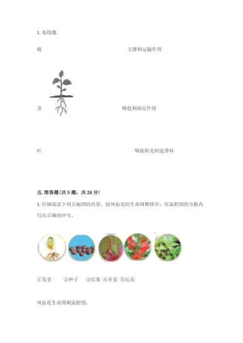 教科版科学四年级下册第一单元《植物的生长变化》测试卷精品（必刷）.docx