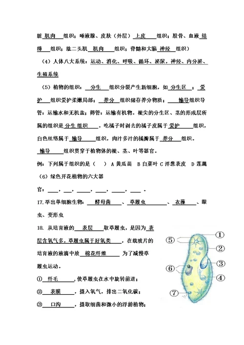 有复习资料七年级生物上册期末填空题复习