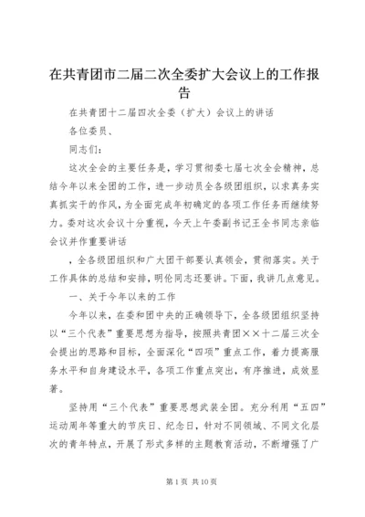 在共青团市二届二次全委扩大会议上的工作报告 (3).docx