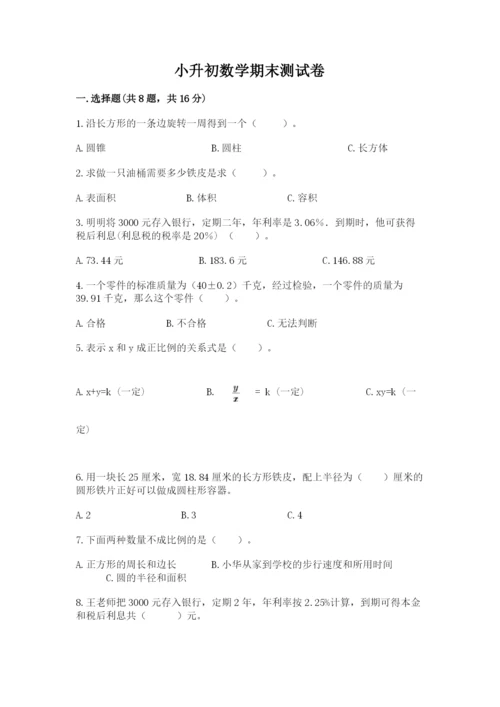 小升初数学期末测试卷【典优】.docx