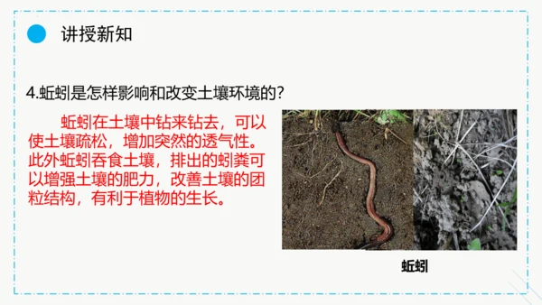 1.2.1生物与环境的关系课件2023--2024学年人教版生物七年级上册(共30张PPT)