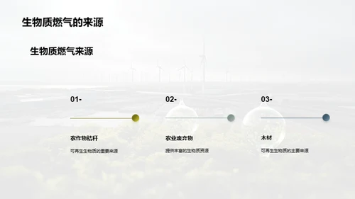 探索生物质燃气