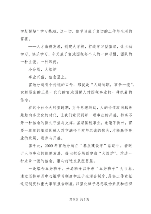 国税开展建设年活动体会.docx