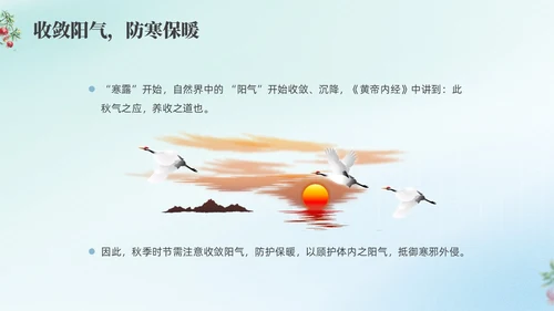 彩色弥撒寒露养生二十四节气PPT课件