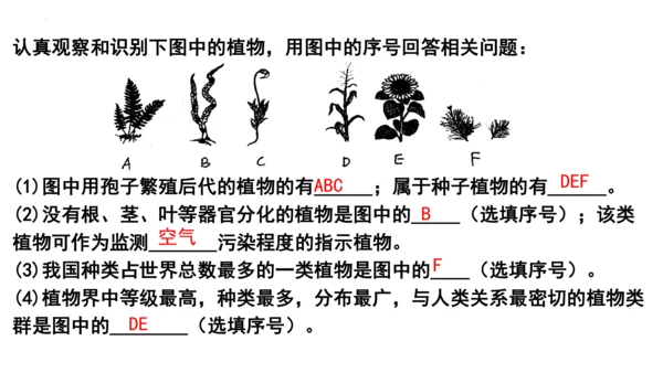 人教版七年级生物上册第三单元第一与二章复习课件(共21张PPT)
