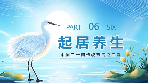 美丽的梦幻传统节气白露PPT模板
