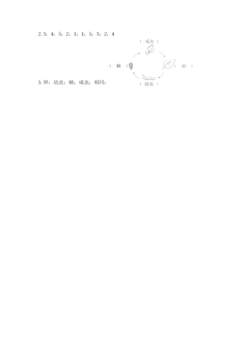 教科版科学三年级下册 期末测试卷（能力提升）.docx