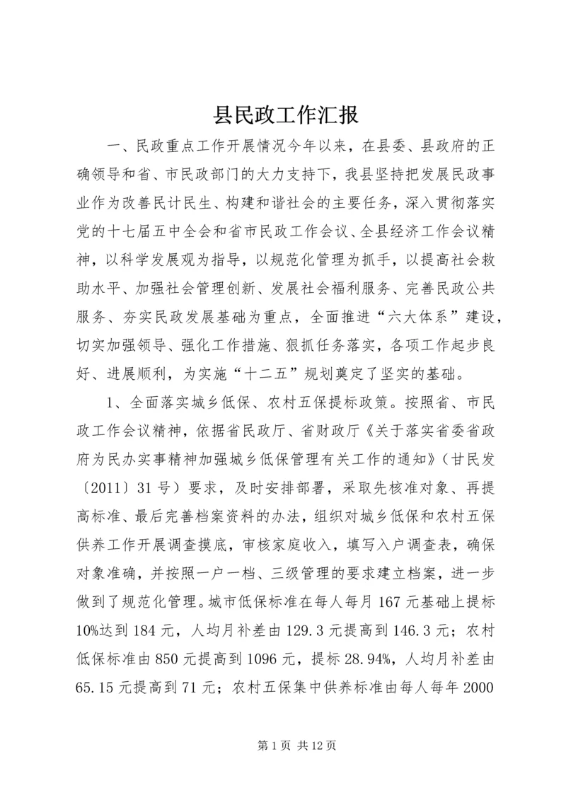 县民政工作汇报.docx