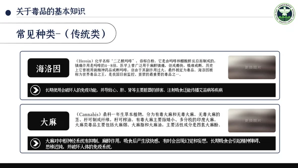 国际禁毒日珍爱生命远离禁毒教育知识PPT模板