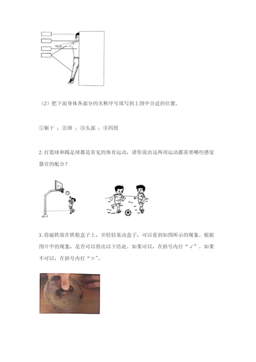 教科版小学科学二年级下册期末测试卷完美版.docx