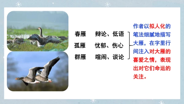 七年级语文上册第五单元  人与动物（大单元教学） 课件(51张PPT)