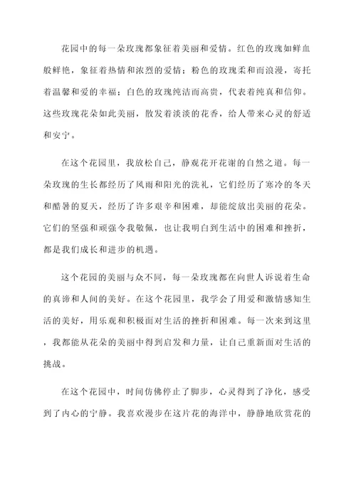 玫瑰情园感言