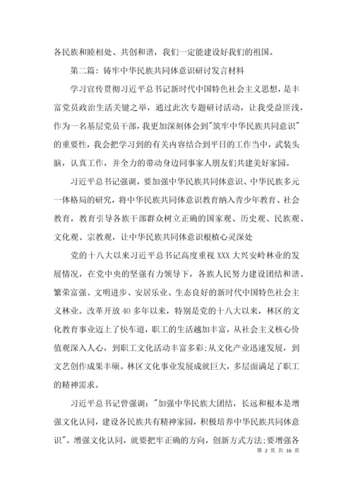 铸牢中华民族共同体意识研讨发言材料【十一篇】.docx