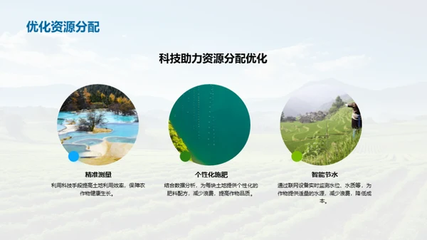 农业革新：智能农场洞察