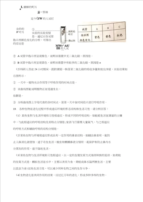 山东省泰安市2018年中考真题试题生物含答案