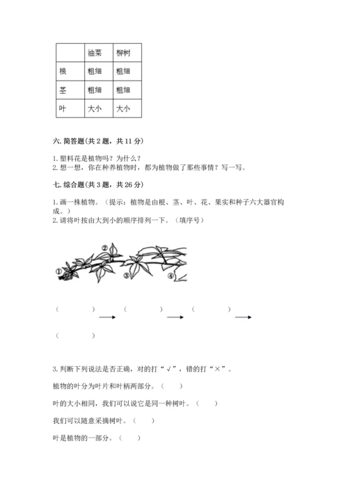 教科版科学一年级上册第一单元《植物》测试卷及完整答案【有一套】.docx