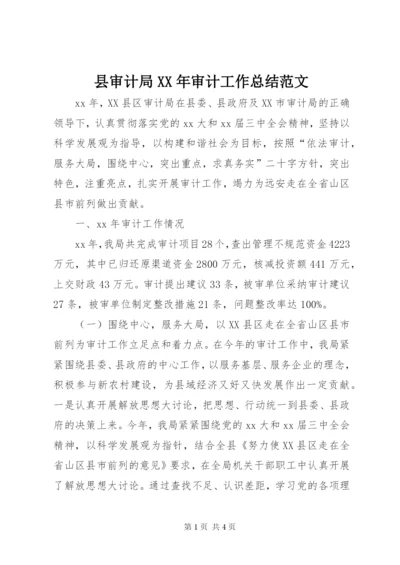 县审计局某年审计工作总结范文.docx