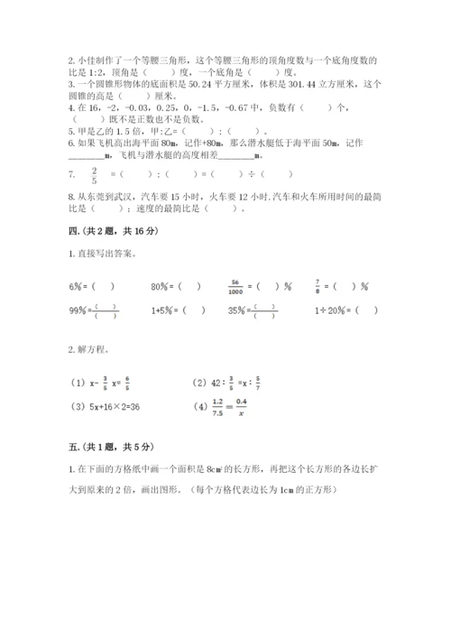 苏教版数学六年级下册试题期末模拟检测卷精品【考点梳理】.docx