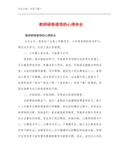 2024教师研修感悟的心得体会优选范文11篇合辑.docx