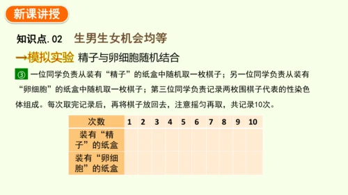 7.2.4人的性别遗传-八年级生物人教版下学期同步精品课件(共28张PPT)