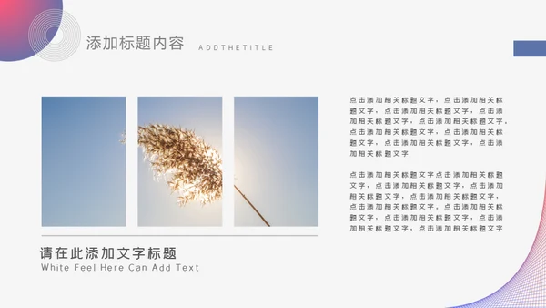 个人求职简历通用PPT模板