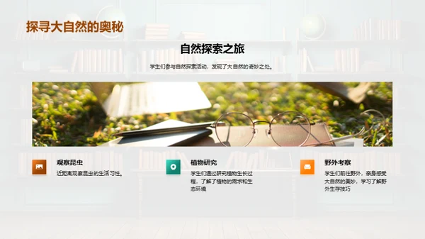 二年级的学习历程