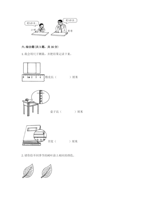 教科版一年级上册科学期末测试卷及1套参考答案.docx