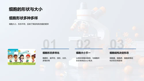 高中生物细胞学PPT模板