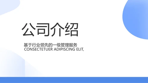 蓝色简约大气保险公司工作总结PPT