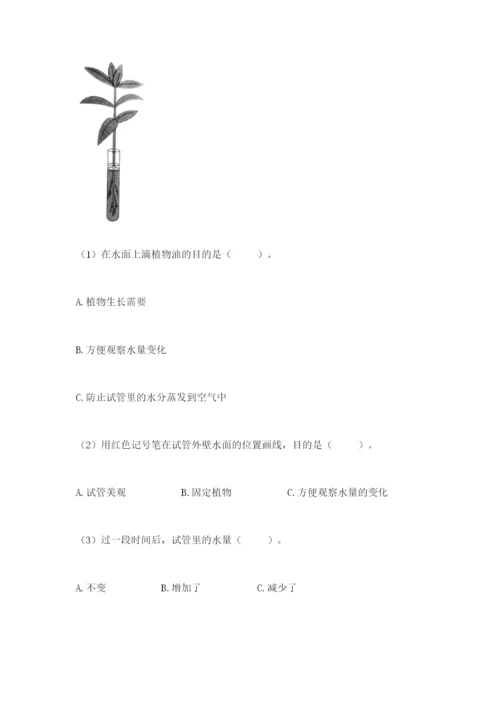 教科版四年级下册科学第一单元《植物的生长变化》测试卷【轻巧夺冠】.docx