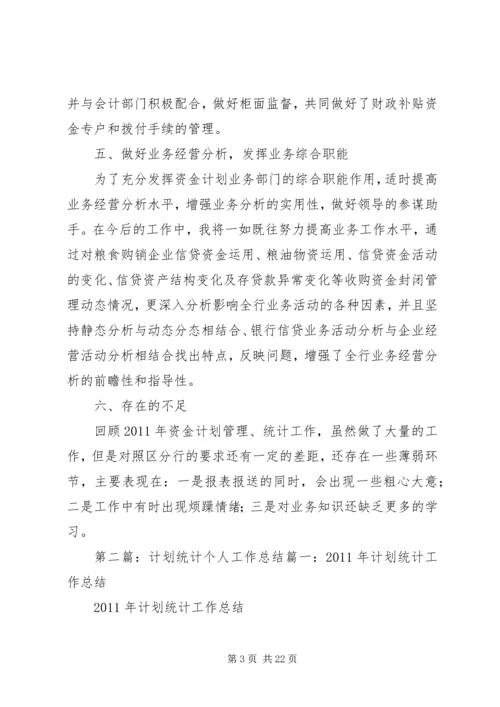 统计、资金计划工作总结.docx