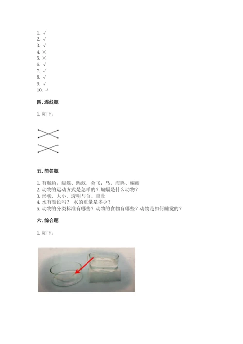 教科版一年级下册科学期末测试卷及参考答案（夺分金卷）.docx