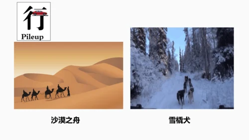 七年级生物学开学第一课-2023-2024学年七年级生物上册同步精品课堂（苏科版）(共32张PPT)