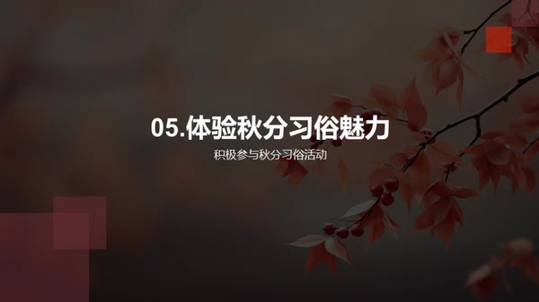 秋分习俗的历史与现代