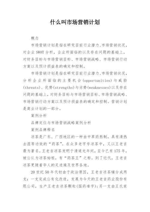 什么叫市场营销计划.docx