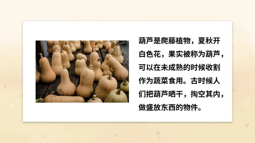 部编版二年级上册《我要的是葫芦》