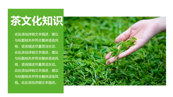 清新茶文化采茶茶道茶艺茶文化PPT模板