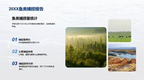 优化鱼塘经营策略
