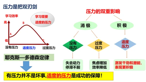 【新课标】6.1 学无止境 课件（27张ppt）