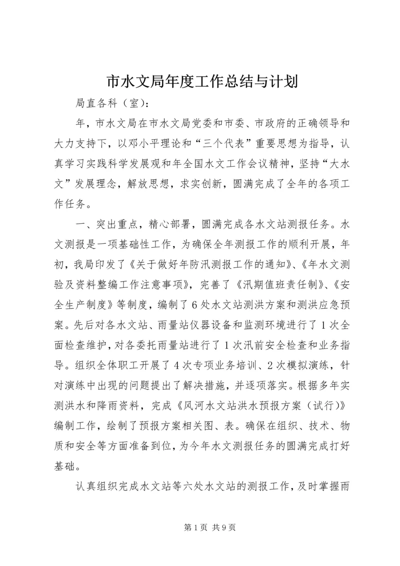 市水文局年度工作总结与计划.docx