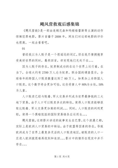 飓风营救观后感集锦.docx