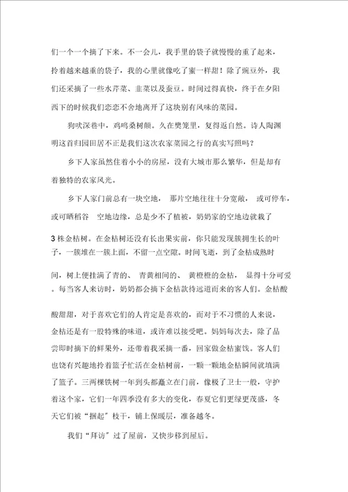 农家风光作文精选