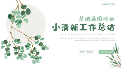 小清新简约工作总结汇报概述