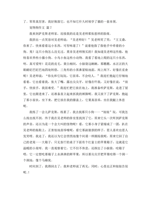 有关宠物狗作文锦集七篇.docx