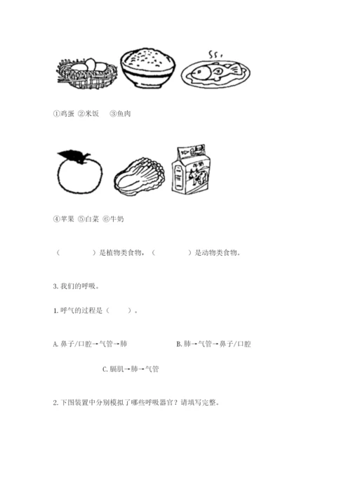 教科版四年级上册科学期末测试卷精品【实用】.docx