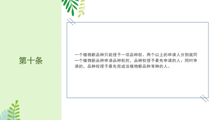 普法全文学习2025年4月新修订《中华人民共和国植物新品种保护条例》PPT课件