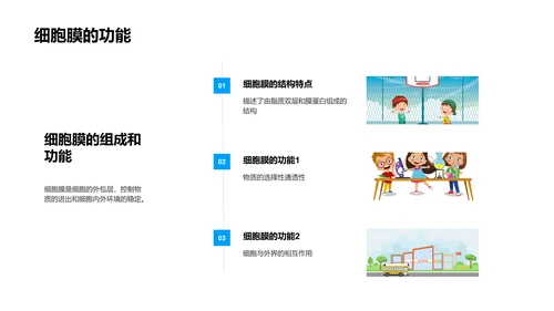 细胞学基础讲座PPT模板