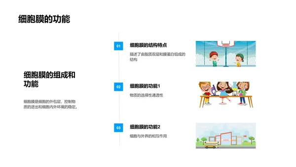 细胞学基础讲座PPT模板