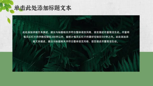 文艺小清新绿叶通用PPT模板